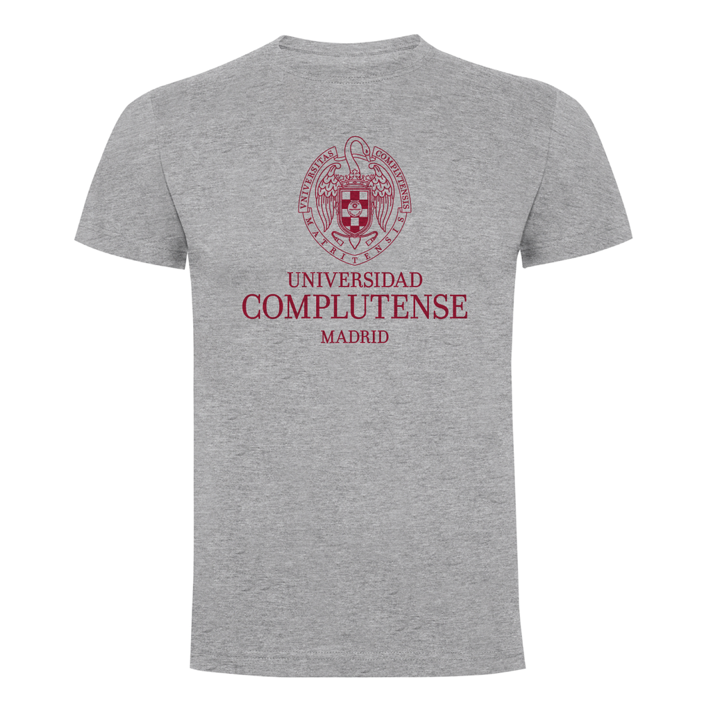 Camiseta Basica Gris